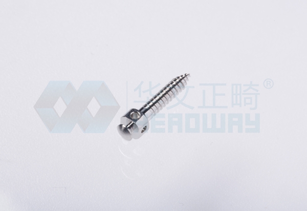 Stainless steel micro screw